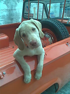 Name:  Ҿ005.jpg
Views: 373
Size:  17.5 KB