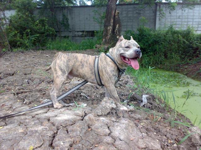 Name:  187.jpg
Views: 376
Size:  73.7 KB