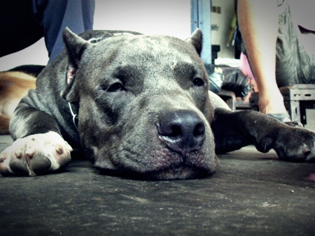 Name:  DSCF8050.JPG
Views: 345
Size:  138.9 KB