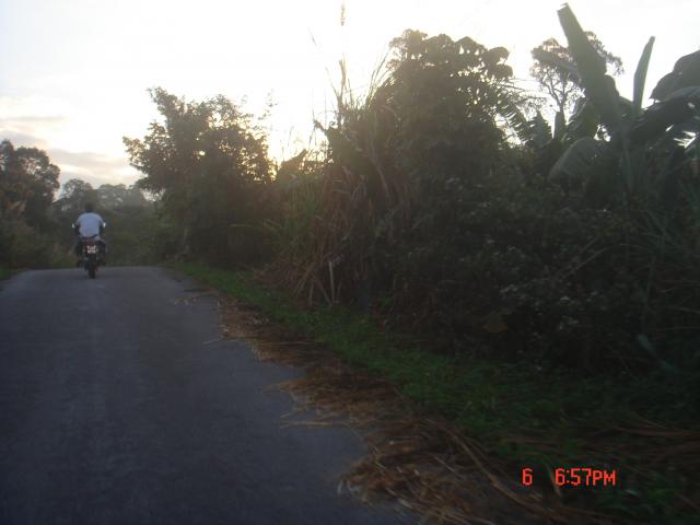 Name:  DSC00475.jpg
Views: 238
Size:  29.2 KB