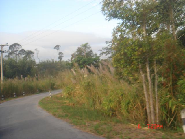 Name:  DSC00528.jpg
Views: 215
Size:  37.2 KB