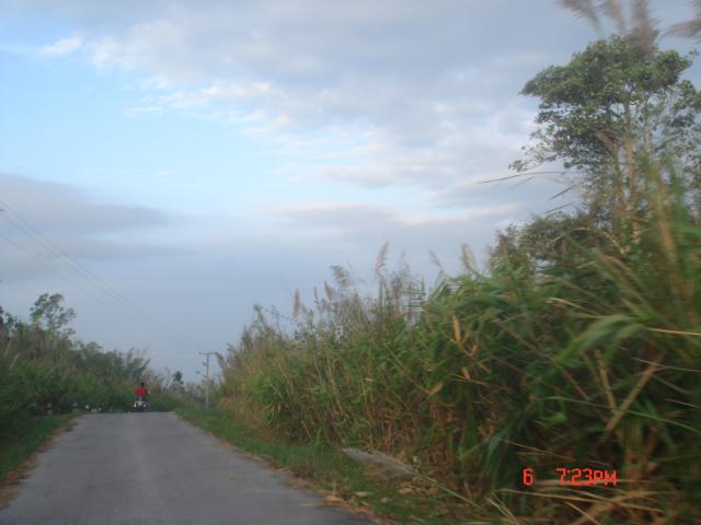 Name:  DSC00529.jpg
Views: 242
Size:  31.8 KB