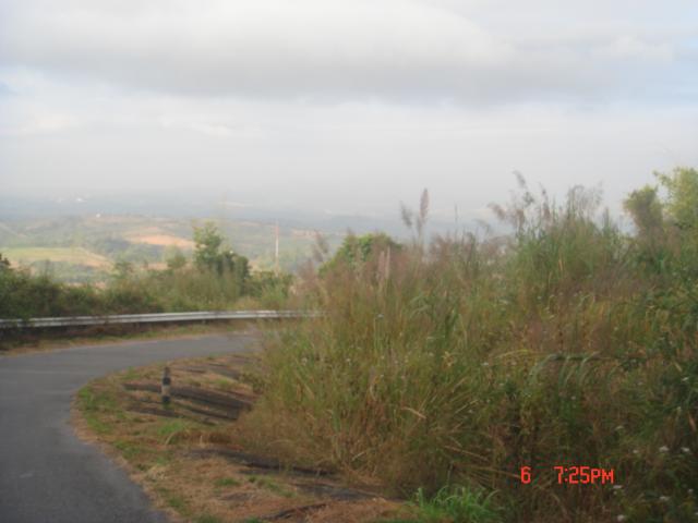 Name:  DSC00537.jpg
Views: 200
Size:  28.7 KB
