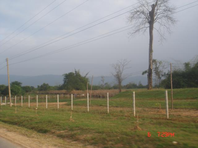Name:  DSC00551.jpg
Views: 165
Size:  30.6 KB