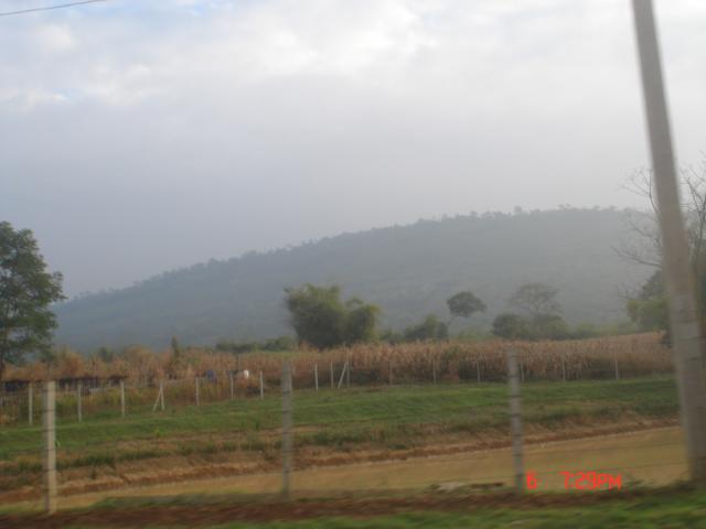 Name:  DSC00552.jpg
Views: 191
Size:  22.6 KB