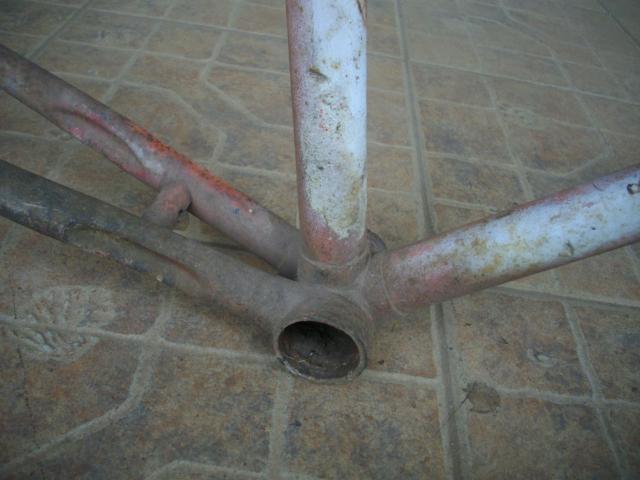 Name:  IMGP4517.jpg
Views: 1021
Size:  36.4 KB