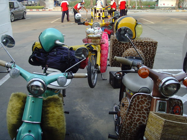 Name:  SNV30312.jpg
Views: 1616
Size:  119.1 KB