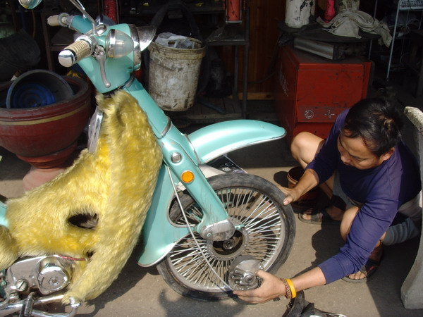 Name:  SNV30325.jpg
Views: 1239
Size:  101.7 KB