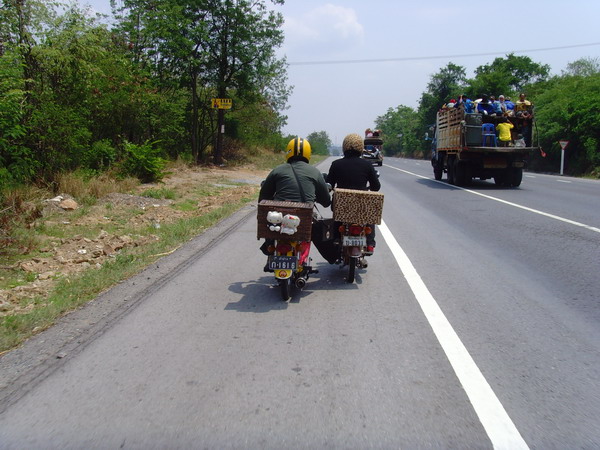 Name:  SNV30335.jpg
Views: 1197
Size:  103.5 KB