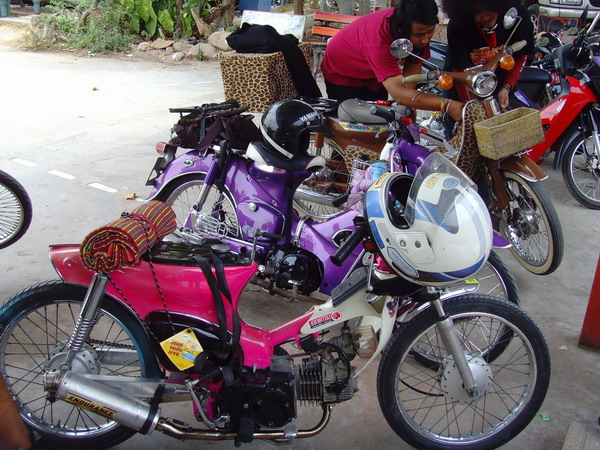 Name:  SNV30343.jpg
Views: 1256
Size:  137.5 KB
