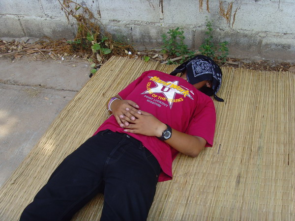 Name:  SNV30350.jpg
Views: 819
Size:  110.1 KB