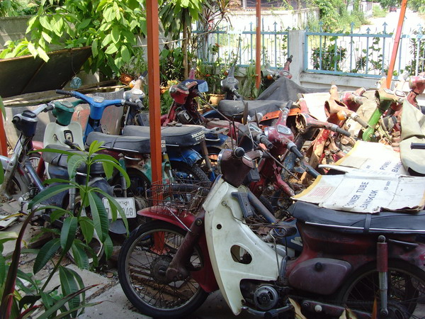 Name:  SNV30351.jpg
Views: 797
Size:  146.5 KB