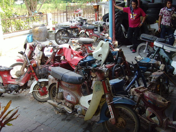 Name:  SNV30352.jpg
Views: 793
Size:  138.4 KB