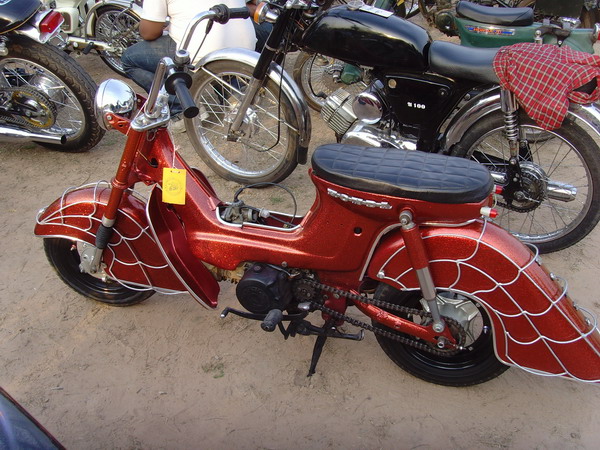 Name:  SNV30406.jpg
Views: 776
Size:  132.0 KB