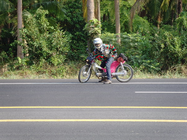 Name:  SNV30443.jpg
Views: 667
Size:  133.9 KB