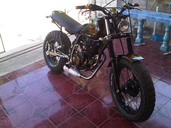 Name:  IMG01008-20101129-10511.jpg
Views: 1252
Size:  42.0 KB