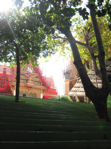 Name:  IMG_0901.jpg
Views: 130
Size:  38.0 KB