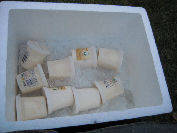 Name:  IMG_0931.jpg
Views: 140
Size:  85.6 KB