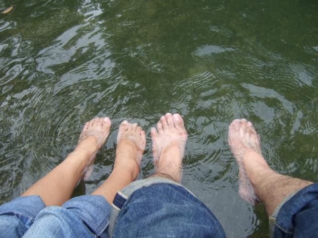 Name:  DSCF7391.jpg
Views: 705
Size:  54.1 KB