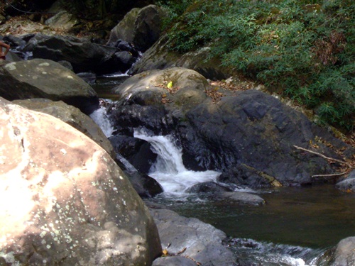 Name:  DSC03088.JPG
Views: 370
Size:  104.7 KB