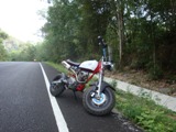Name:  ape2.JPG
Views: 262
Size:  25.5 KB