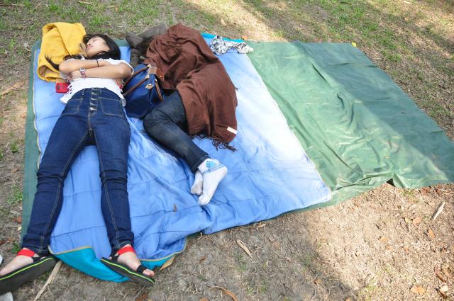 Name:  DSC_0251.jpg
Views: 381
Size:  64.4 KB