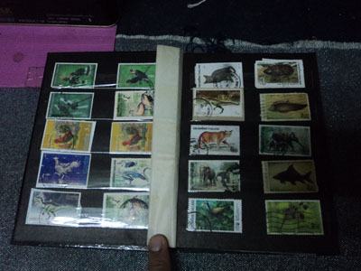 Name:  DSC03096.jpg
Views: 2673
Size:  64.8 KB