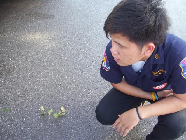 Name:  100_2073.jpg
Views: 128
Size:  57.8 KB