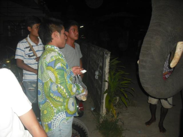 Name:  DSCF5217.jpg
Views: 756
Size:  33.0 KB