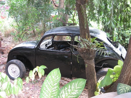 Name:  IMG_2061.JPGย่อ.JPG
Views: 724
Size:  100.9 KB