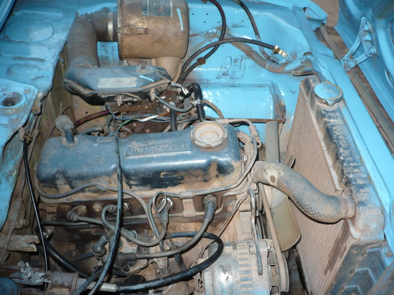 Name:  P1060969_resize.JPG
Views: 2268
Size:  135.5 KB