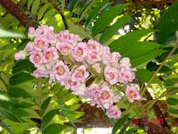 Name:  ٤.jpg
Views: 58
Size:  10.8 KB