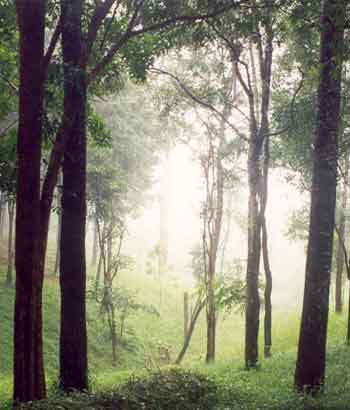 Name:  2.jpg
Views: 208
Size:  18.0 KB