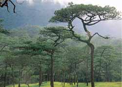 Name:  ˹1.jpg
Views: 198
Size:  7.3 KB