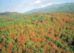 Name:  ˹.jpg
Views: 198
Size:  9.1 KB