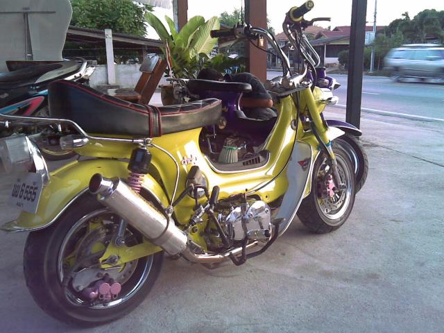 Name:  24052010(008).jpg
Views: 295
Size:  60.0 KB