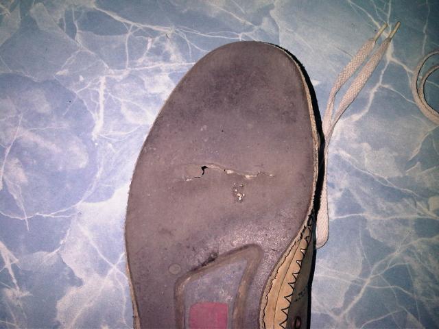Name:  IMG00399-20101221-2153.jpg
Views: 1017
Size:  44.3 KB