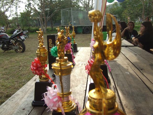 Name:  DSCF0183.jpg
Views: 489
Size:  66.7 KB