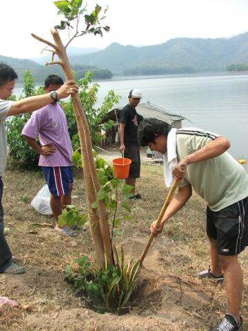 Name:  DSCF1119.jpg
Views: 242
Size:  38.7 KB