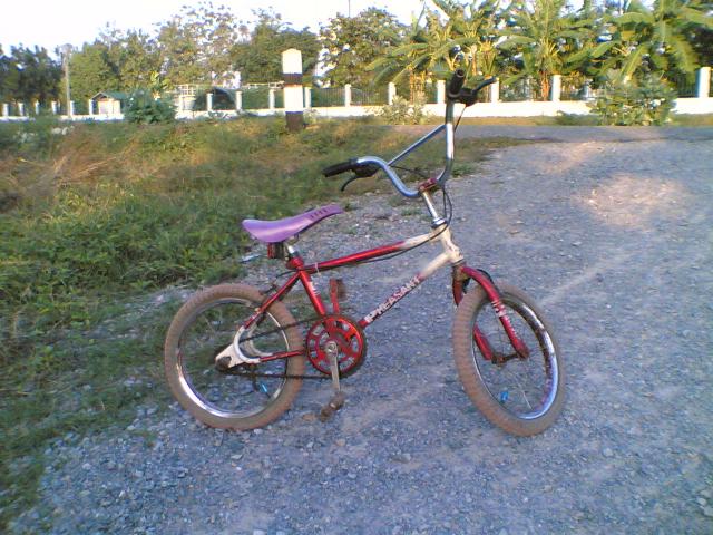 Name:  20122010(022).jpg
Views: 500
Size:  68.8 KB