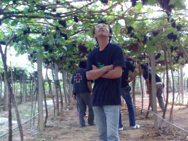 Name:  10122010946.jpg
Views: 179
Size:  66.4 KB