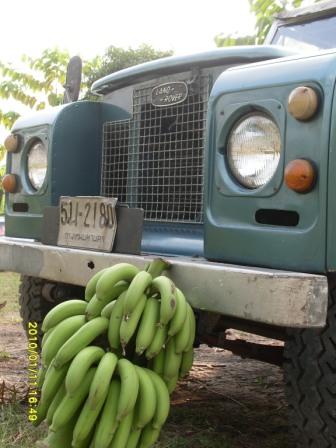 Name:  SDC11448.jpg
Views: 1898
Size:  28.1 KB