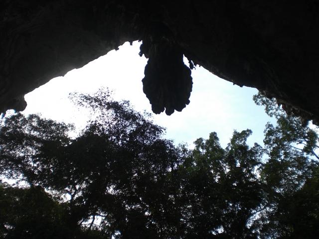 Name:  CIMG2184.jpg
Views: 315
Size:  53.7 KB