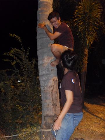 Name:  SDC16472.jpg
Views: 149
Size:  25.1 KB