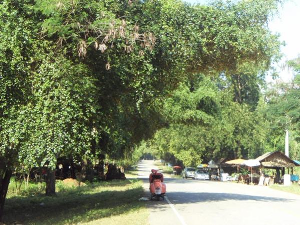 Name:  SDC16509.jpg
Views: 146
Size:  73.6 KB