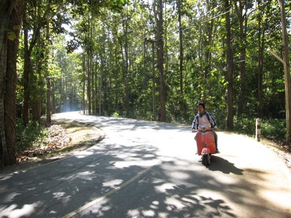 Name:  IMG_0718.jpg
Views: 121
Size:  66.3 KB