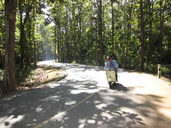 Name:  IMG_0719.jpg
Views: 112
Size:  61.4 KB