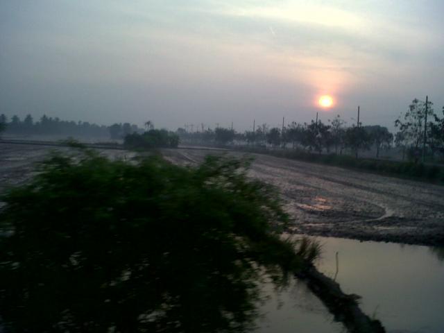 Name:  IMG00549-20101225-0705.jpg
Views: 300
Size:  23.8 KB
