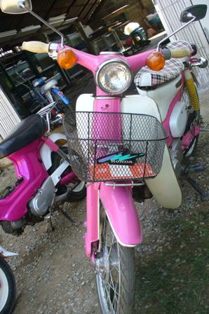 Name:  P1080750.JPG
Views: 1037
Size:  49.8 KB
