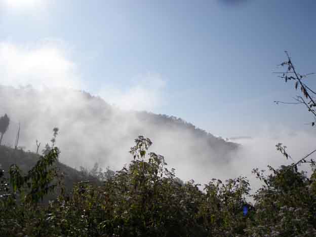 Name:  P1010246.jpg
Views: 388
Size:  35.1 KB